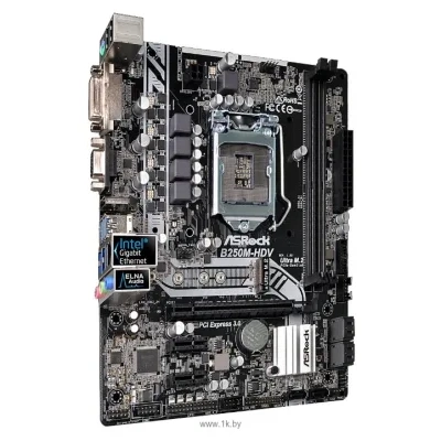 ASRock B250M-HDV