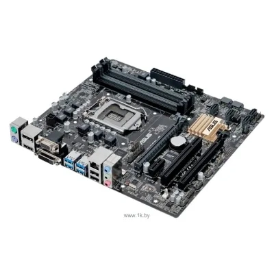 ASUS B150M-C