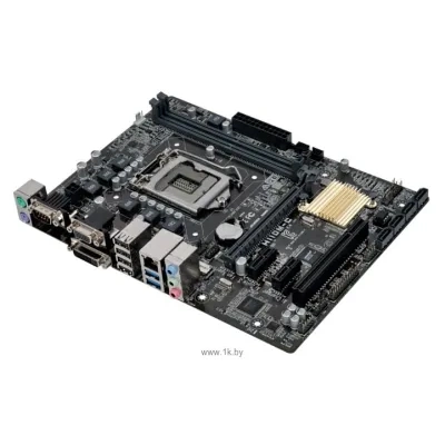 ASUS H110M-C