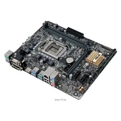 ASUS H110M-PLUS