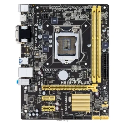 ASUS H81M-P PLUS