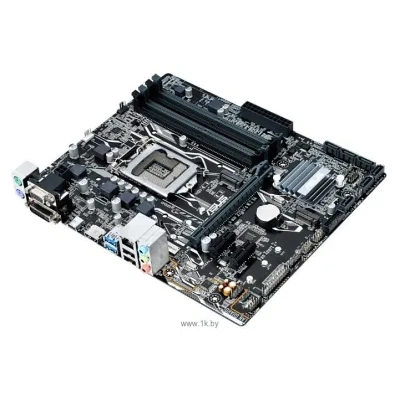 ASUS PRIME B250M-A/CSM