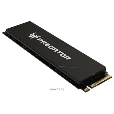 Acer Predator GM7000 1TB BL.9BWWR.105