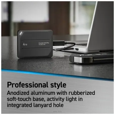 Crucial X10 Pro 4TB CT4000X10PROSSD9
