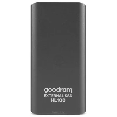 GoodRAM GOODRAM HL100 256GB (seryiy)