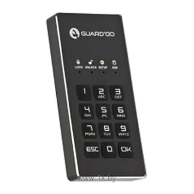 GuardDo SSD 256GB