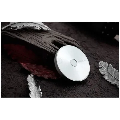 Hikvision HS-ESSD-T100F(STD)/512G/B16/SILVERY 512GB (serebristyiy)